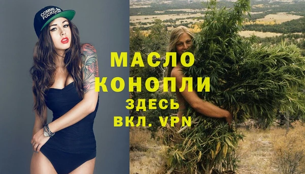 твердый Михайлов