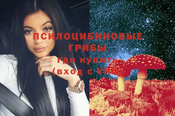 Альфа ПВП Михайловск