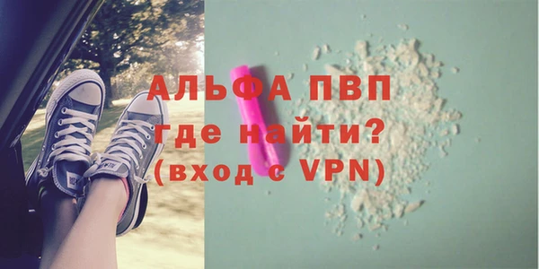 твердый Михайлов