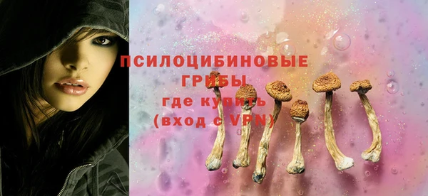 тгк Тында