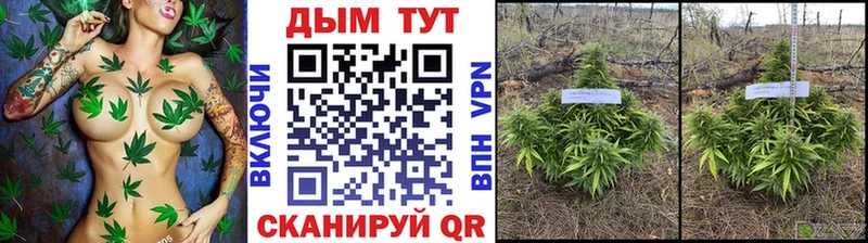 Конопля ГИДРОПОН  Невельск 